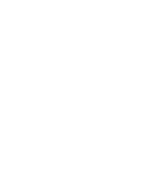 SCM Poli Timișoara — logo